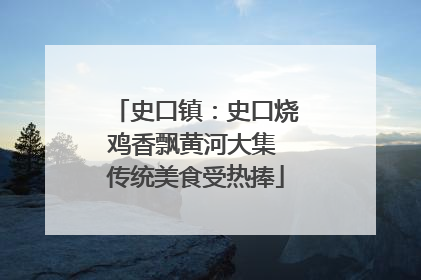 史口镇：史口烧鸡香飘黄河大集 传统美食受热捧